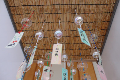 展示５